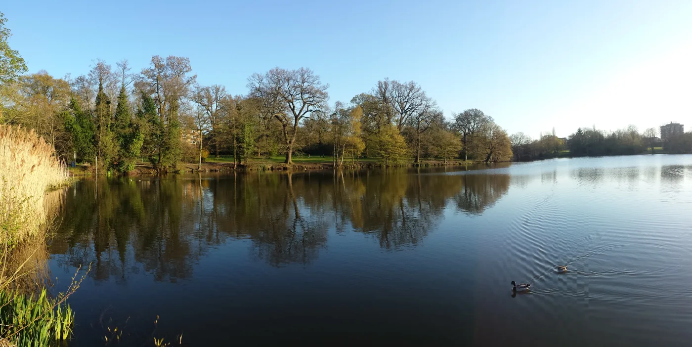 Whiteknights Lake on the University of Reading's Whiteknights campus.